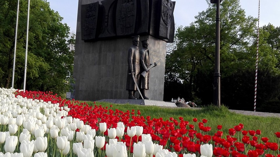 Tulipany pod Pomnikiem Powstańców Wielkopolskich