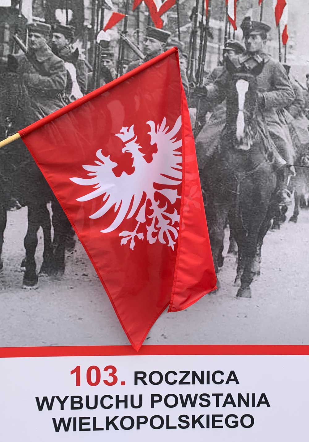 Powstanie Wielkopolskie - Najbardziej znaną chorągwią powstańczą jest egzemplarz będący w zbiorach Wielkopolskiego Muzeum Niepodległości w Poznaniu