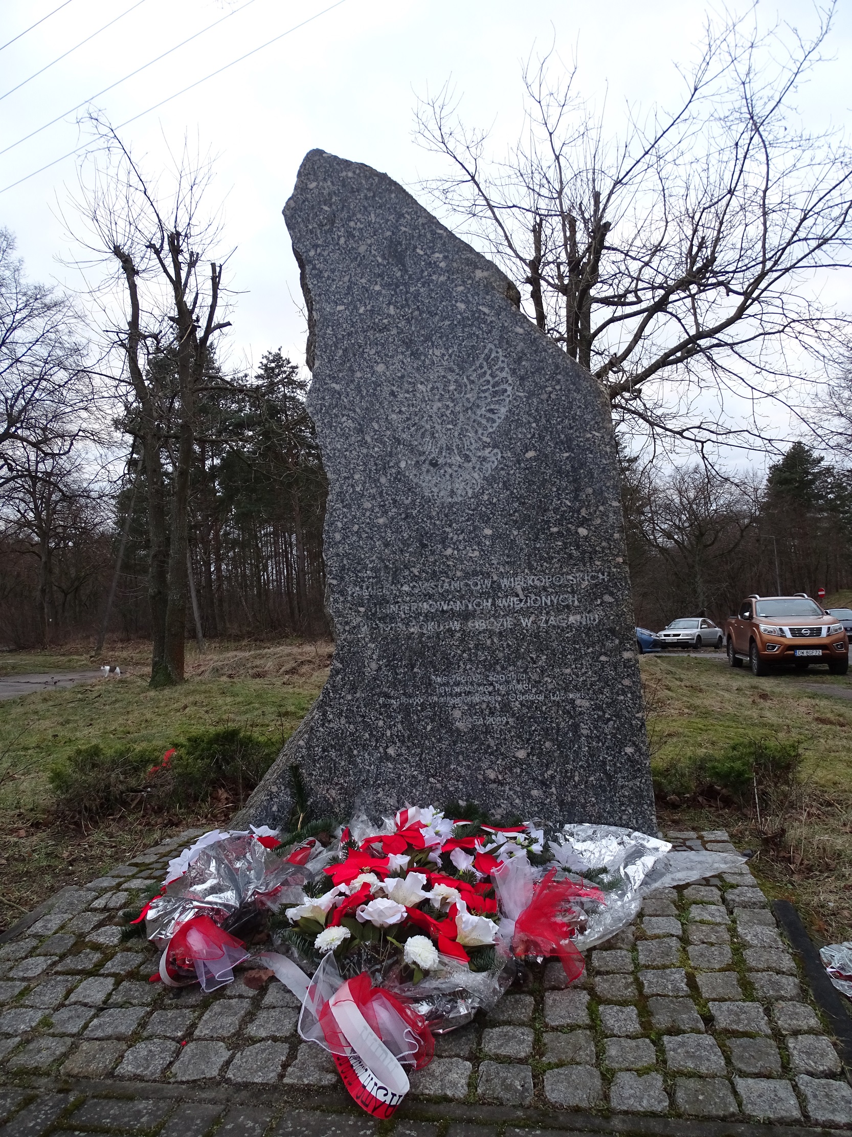 Powstańcy wielkopolscy w obozach jenieckich