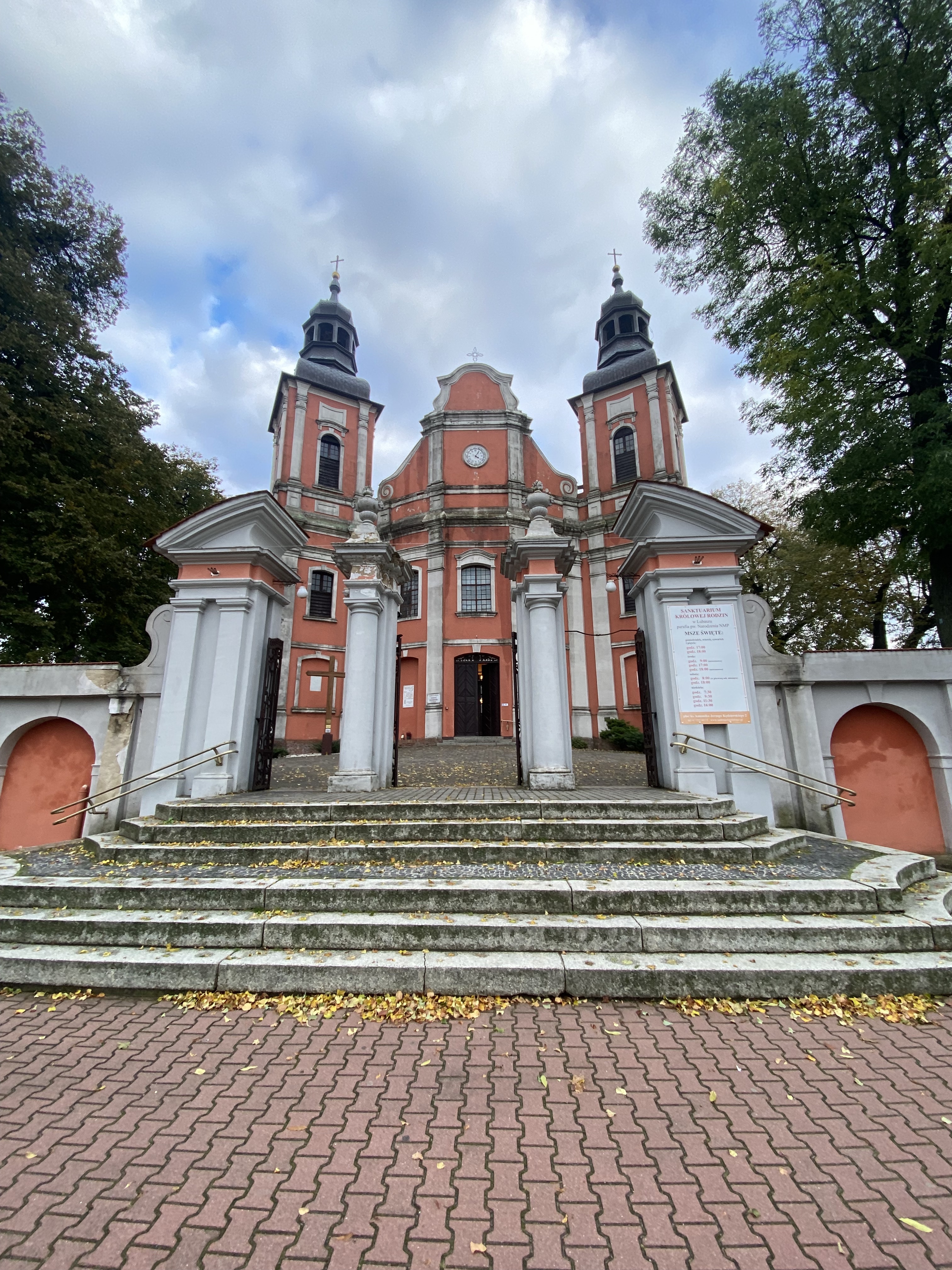 Ziemia czarnkowska w powstaniu wielkopolskim