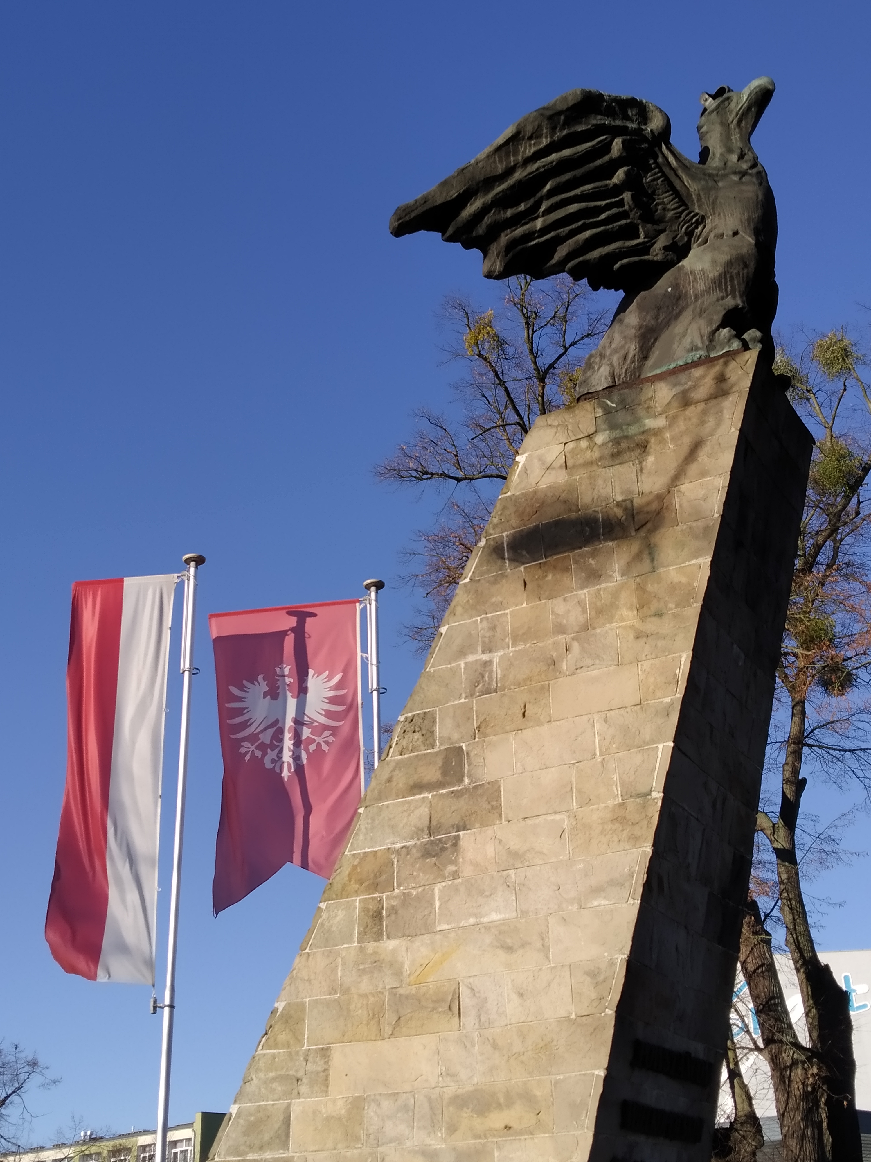 Uroczystości w Międzychodzie